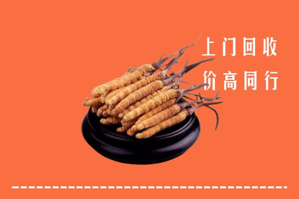 肇源县回收冬虫夏草