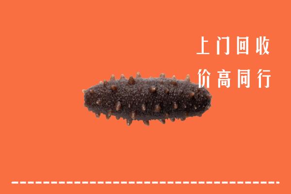 高价求购：肇源县回收海参