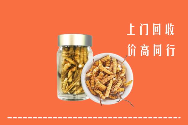 肇源县回收冬虫夏草