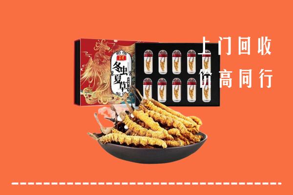 肇源县回收虫草